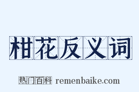 柑花反义词是什么意思的图片